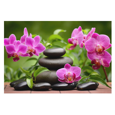 Fotótapéta Stílusos orchidea egyensúly