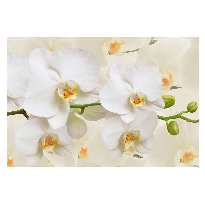 Vlies alapú fotótapéta A fehér orchideák frissessége