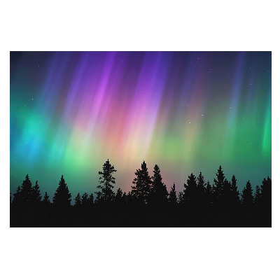 Fotótapéta nappaliba Aurora borealis az erdő felett
