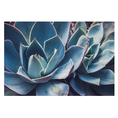 Fotótapéta hálószobába Aloe levél szimmetria