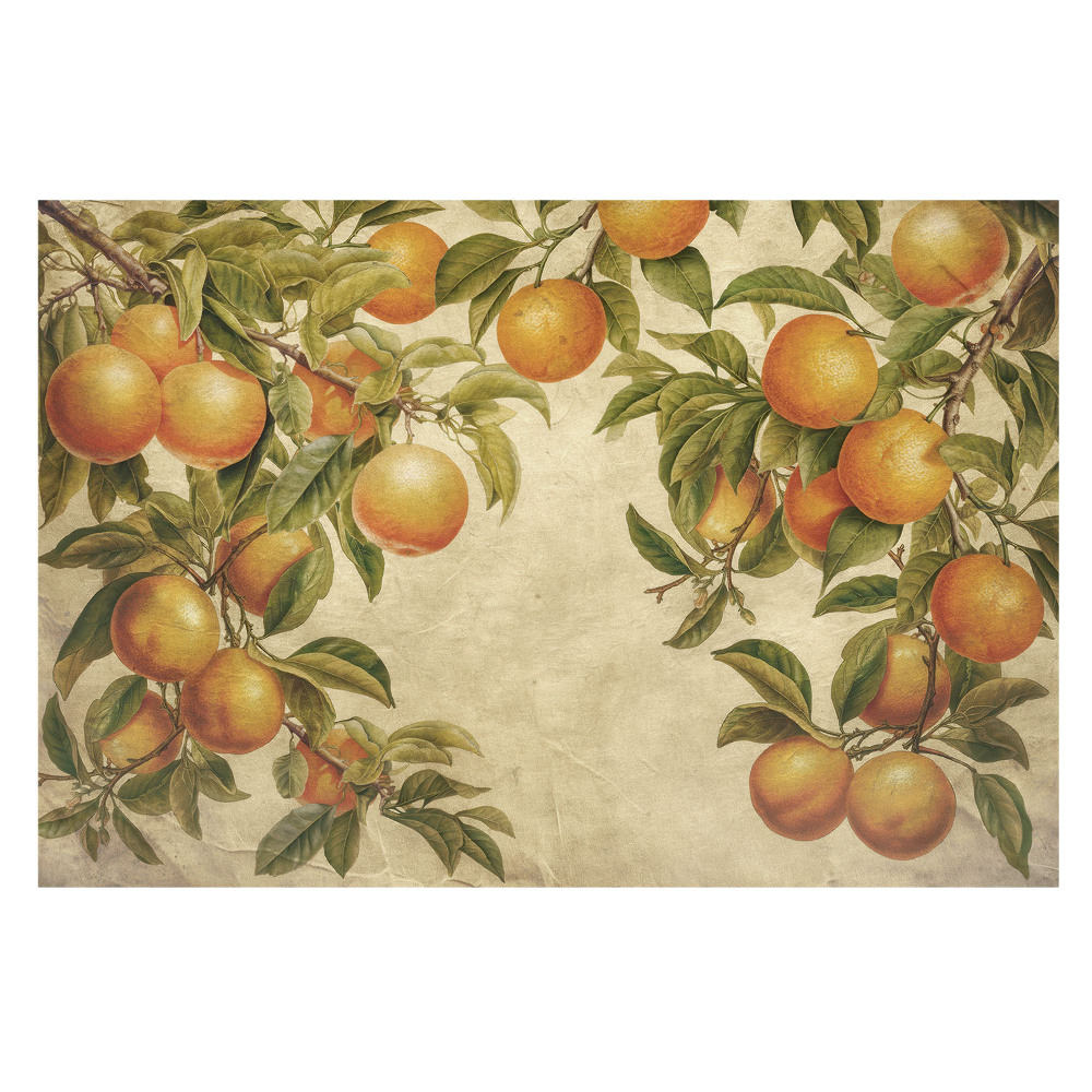 Vlies fotótapéta falra Citrusos frissesség lehelete