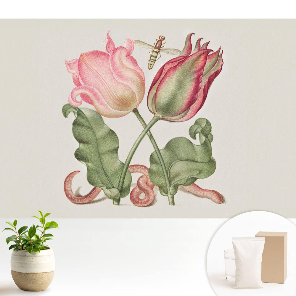 Kép tapéta Részlet egy tulipánnal