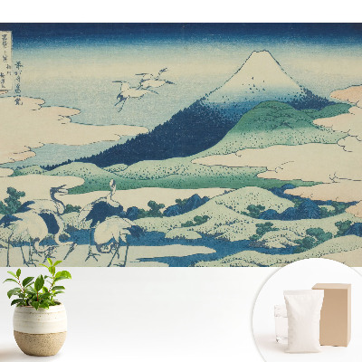 Óriás fotótapéta Japán daruk a hegyekben