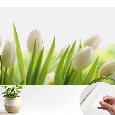 Hálószoba fotótapéta Elegáns fehér tulipánok