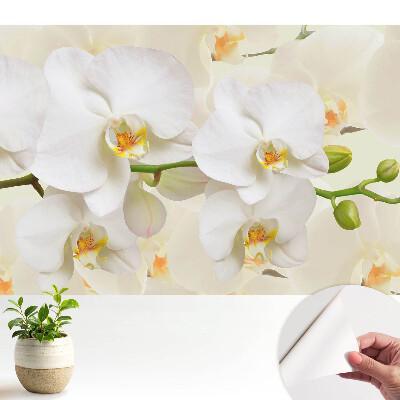 Gyerek fotótapéta A fehér orchideák frissessége