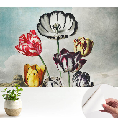 Különleges fotótapéta Klasszikus tulipáncsokor