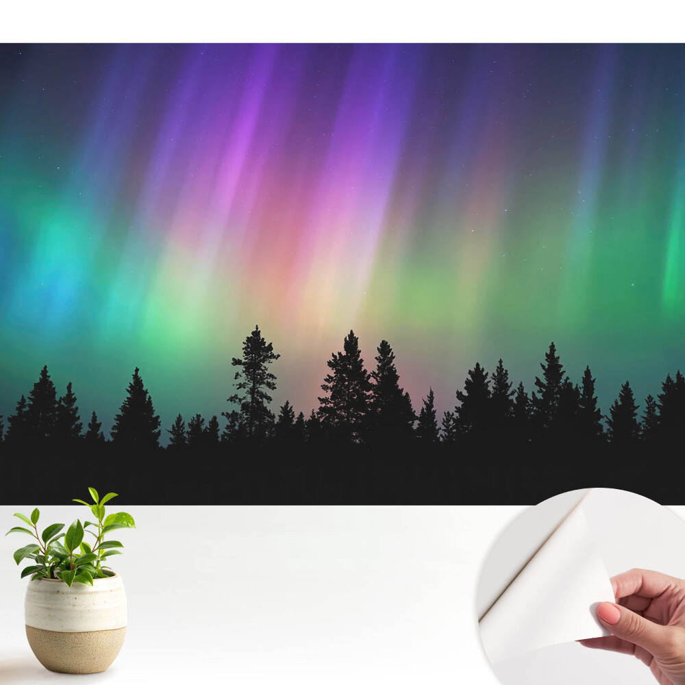 Öntapadós poszter tapéta Aurora borealis az erdő felett