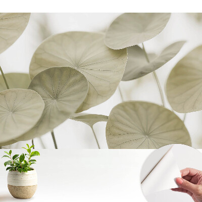 Különleges fotótapéta Minimalista elegancia természetes levelekből