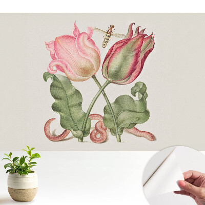 Öntapadós fotótapéta Részlet egy tulipánnal