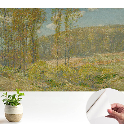 Öntapadós fotótapéta nappaliba Természetes erdő kilátás