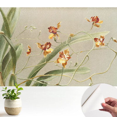 Fotótapéta gyerekszobába Nemes orchideák hamuszürke háttéren