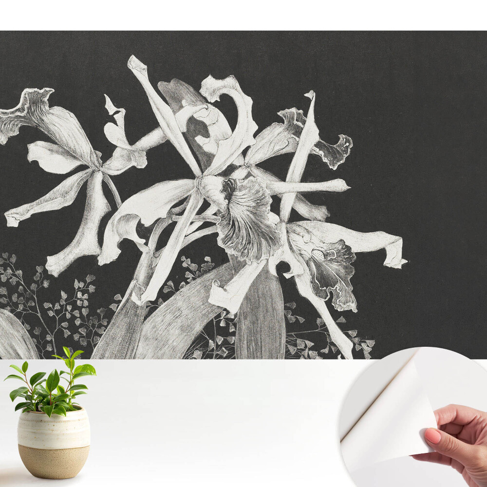 Fotótapéta gyerek Elegáns sötét orchidea