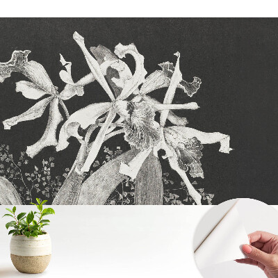Fotótapéta gyerek Elegáns sötét orchidea
