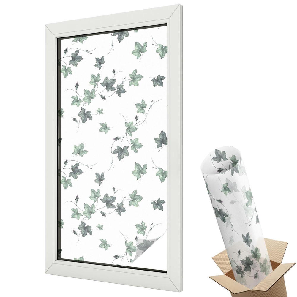 Ablakfólia tejüveg A szőlő zöld levelei, minimalista frissesség