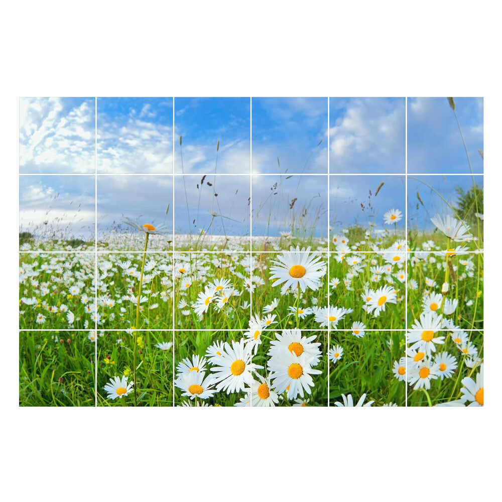 Csempe matrica dekor Virágos rét táj