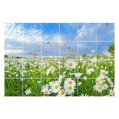 Csempe matrica dekor Virágos rét táj