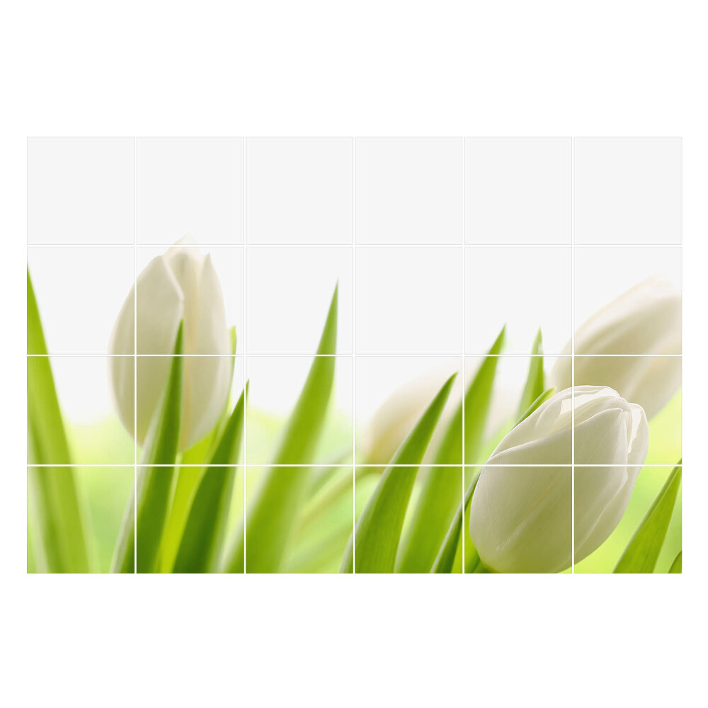 Csempe matrica dekor Finom tulipánok a természetben