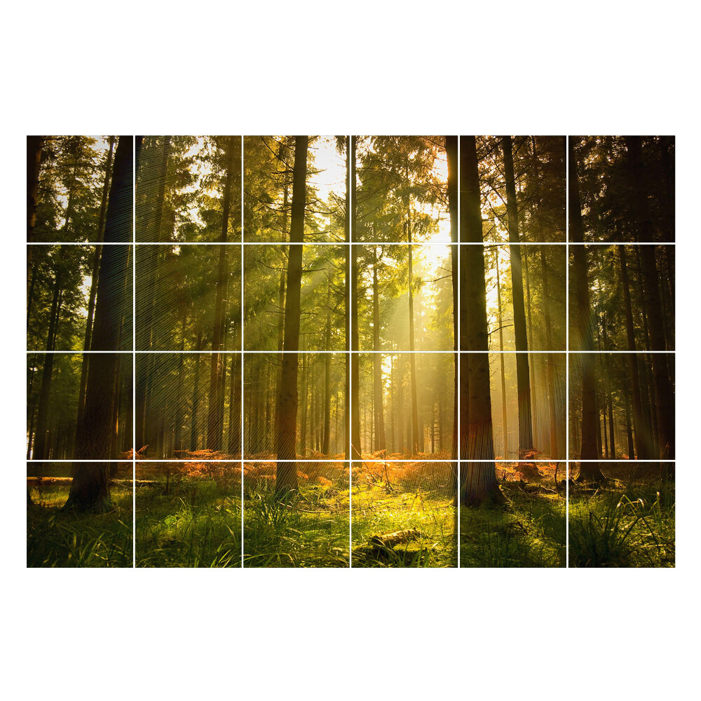 Csempefólia Napsugarak az erdőben