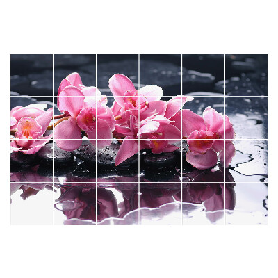 Fali csempe matrica Virágok a vízben lévő köveken