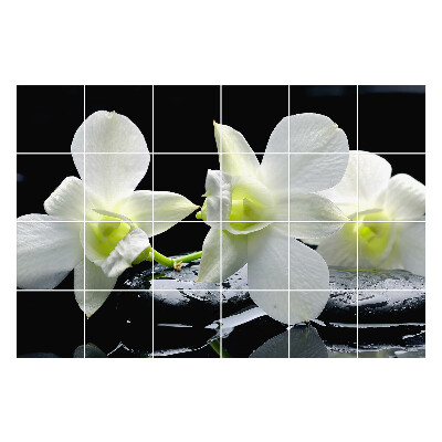 Csempe matrica dekor Virágok a vízen