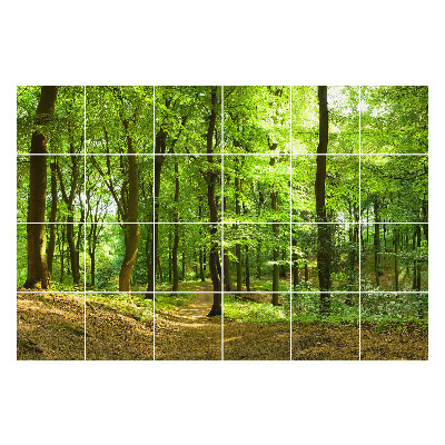 Öntapadós csempe matrica Zöld erdő egy sikátorral