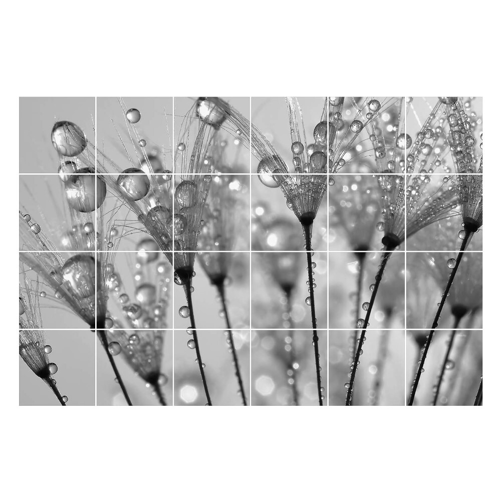 Fali csempe matrica Cseppek a finom szárakon