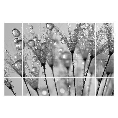 Fali csempe matrica Cseppek a finom szárakon