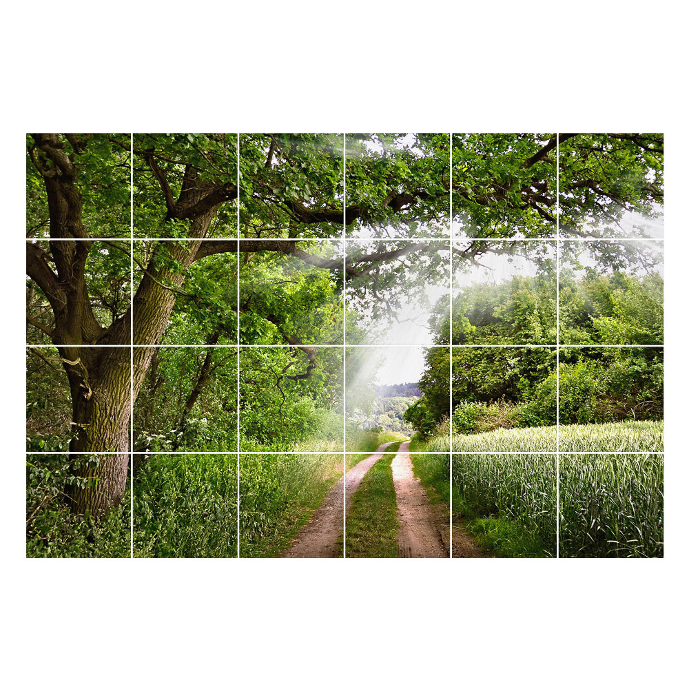 Csempe matrica dekor Zöld ösvény az erdőben