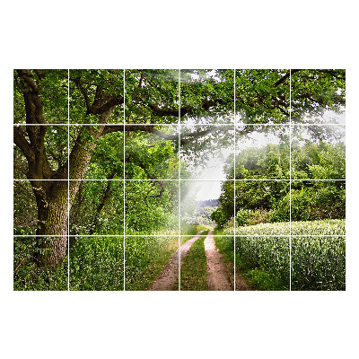 Csempe matrica dekor Zöld ösvény az erdőben