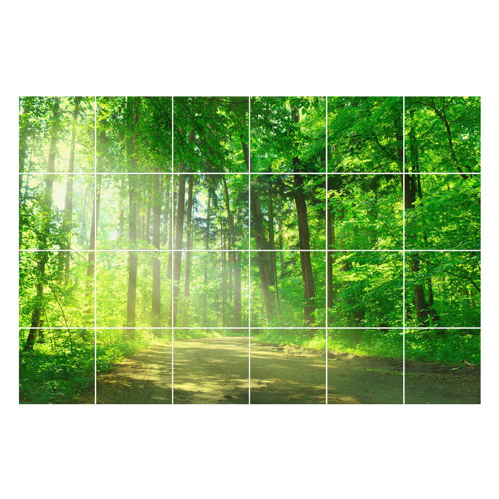 Csempe matrica dekor Erdei ösvény a sugarakban