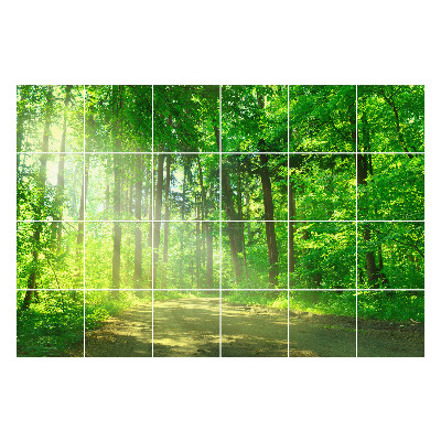 Csempe matrica dekor Erdei ösvény a sugarakban