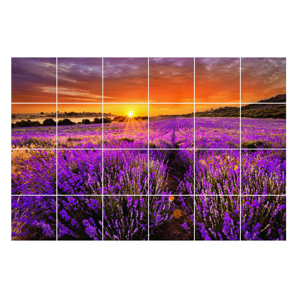 Fali csempe matrica Virágos táj naplementekor