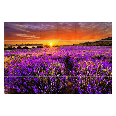 Fali csempe matrica Virágos táj naplementekor