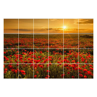 Csempe matrica dekor Virágos rét naplementekor