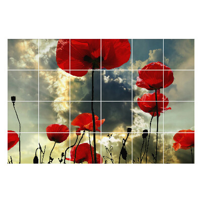 Csempefólia Virágok az ég ellen