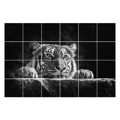 Öntapadós csempe matrica Tigris közeli képe