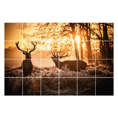 Fali csempe matrica Szarvasok a reggeli ködben