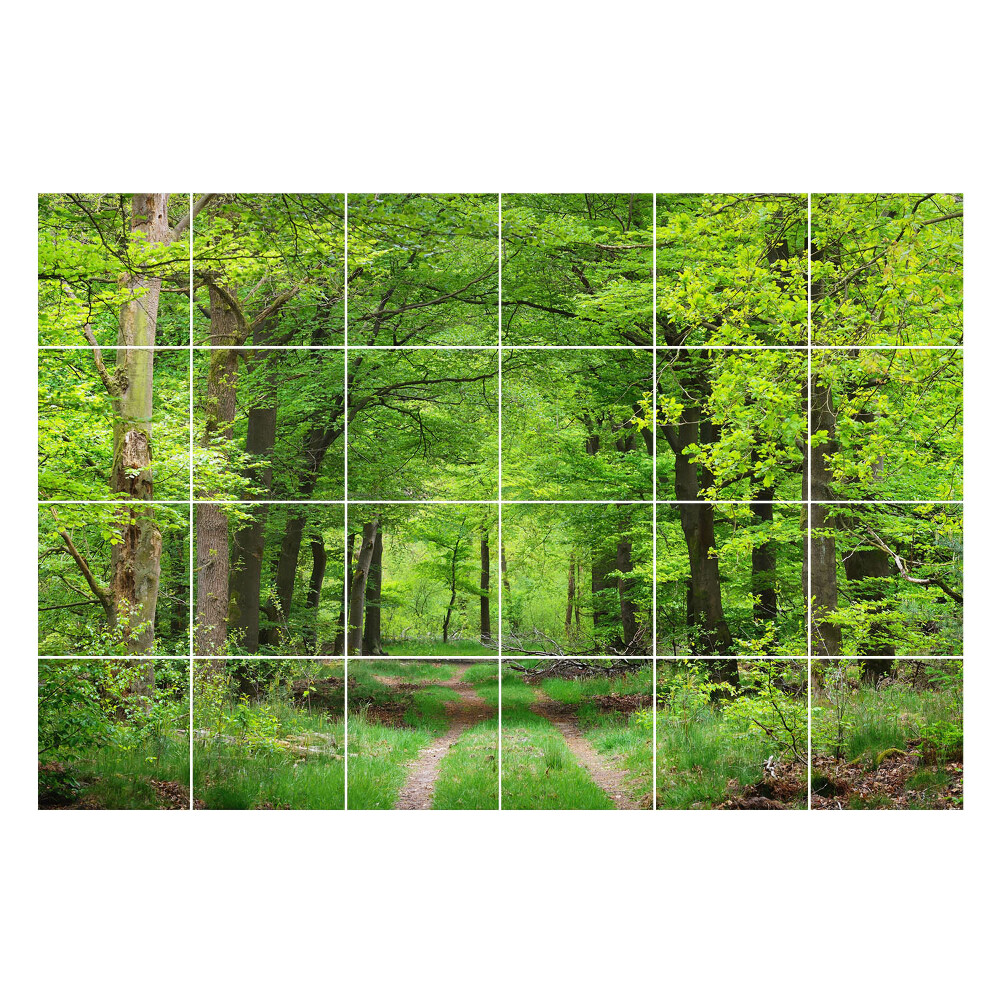 Fali csempe matrica Erdei ösvény a természetben