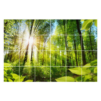 Csempefólia Napsugarak az erdőben