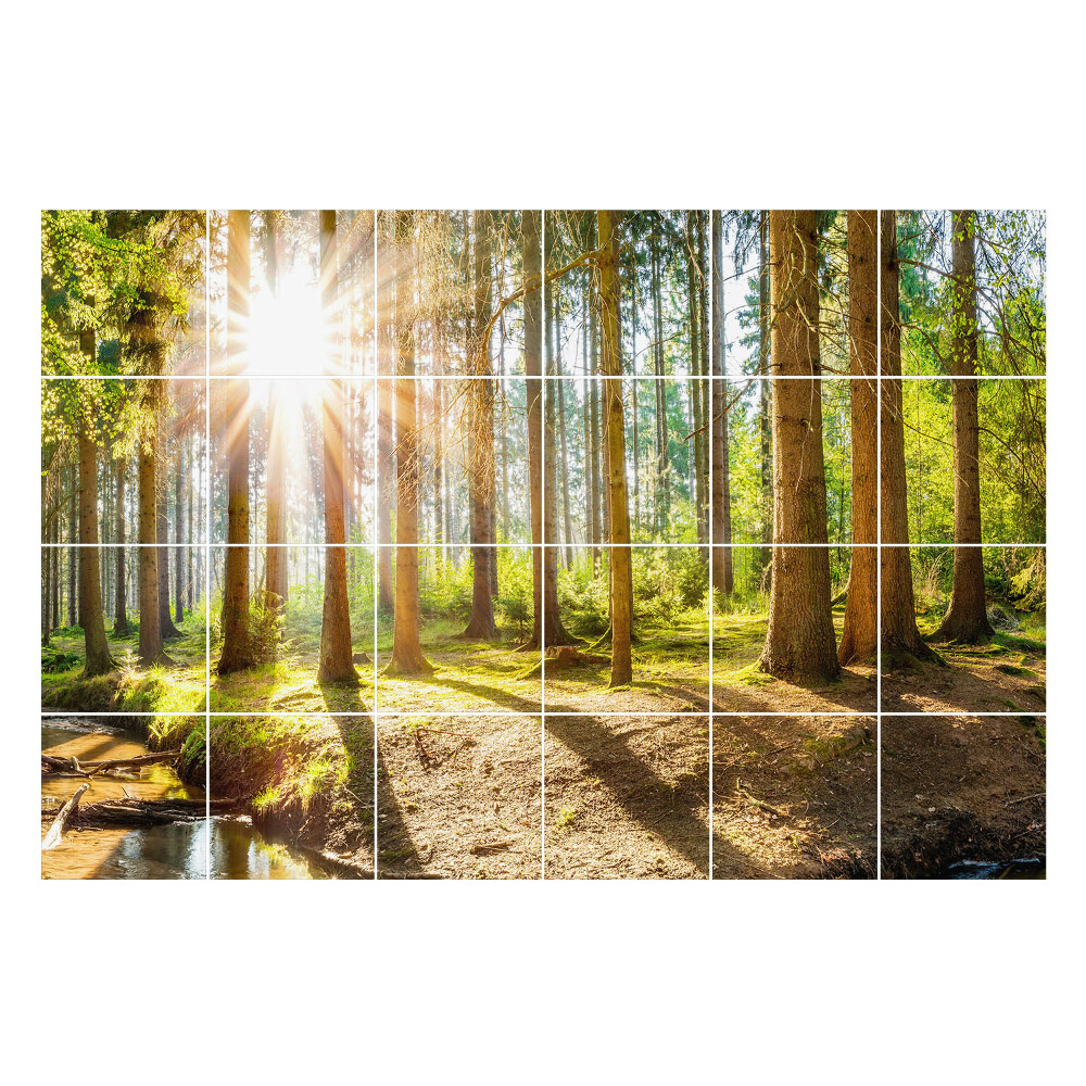 Fali csempe matrica Erdei táj sugarakkal
