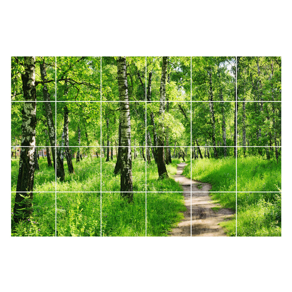 Csempe matrica dekor Erdei ösvény a természetben