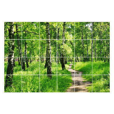 Csempe matrica dekor Erdei ösvény a természetben