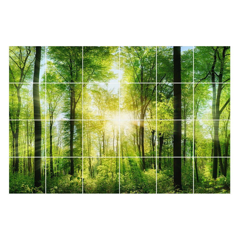 Csempefólia Zöld erdő sugarakkal