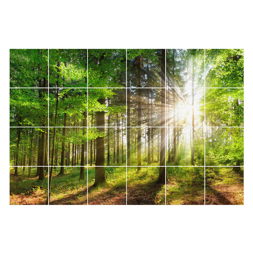 Öntapadós csempe matrica Napsugarak az erdőben