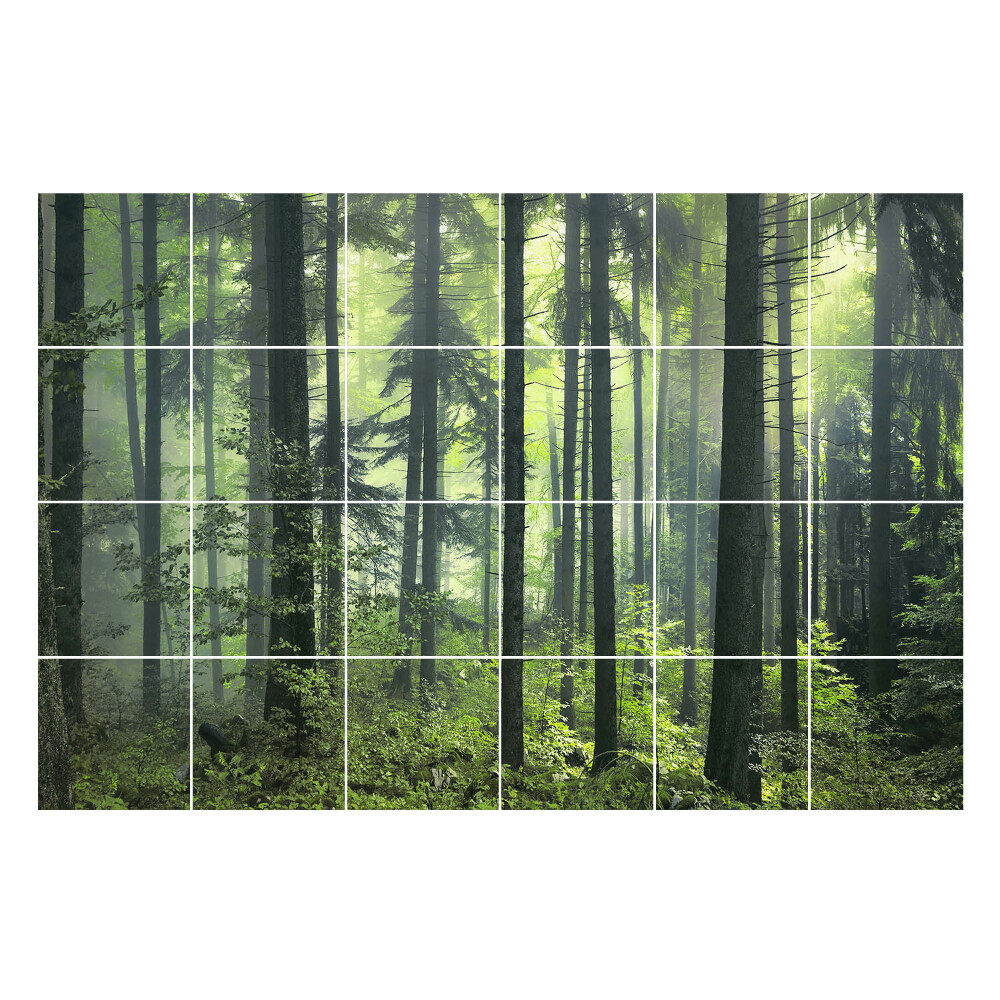 Csempe matrica dekor Sűrű erdő köddel