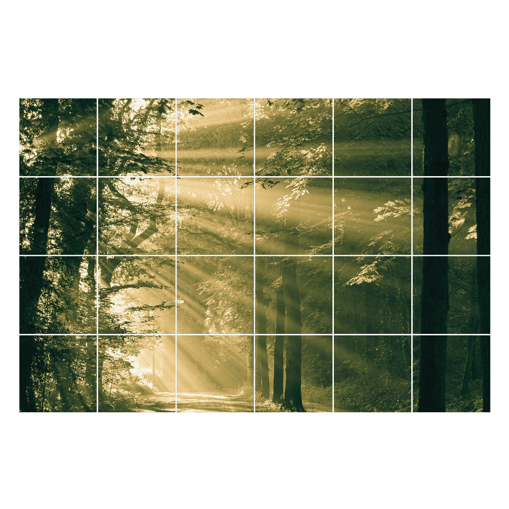 Csempe matrica dekor Fénysugarak az erdőben