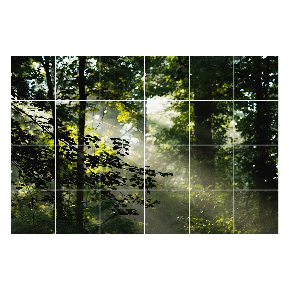 Csempefólia Fénysugarak az erdőben