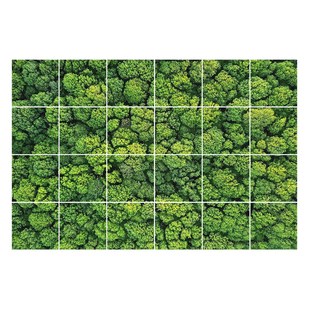 Csempe dekor matrica Sűrű erdő fákkal