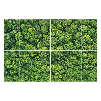 Csempe dekor matrica Sűrű erdő fákkal