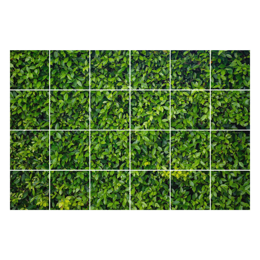 Csempe dekor matrica Sűrű zöld levelek